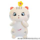 可爱猫咪